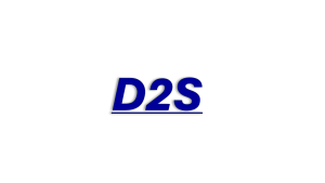 D2S