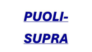 LOKASUOJAT PUOLISUPRA