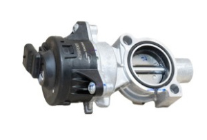 EGR-OSAT