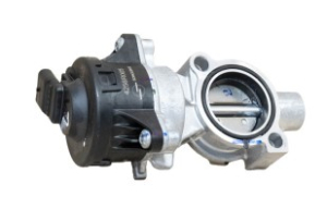 EGR-OSAT