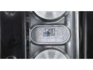 DT SPRING BRAKE CYLINDER 2