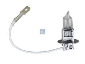 DT BULB 2