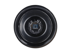 DT AIR SPRING 4