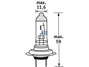 DT BULB 3