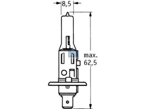 DT BULB 3
