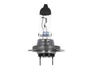 DT BULB 2
