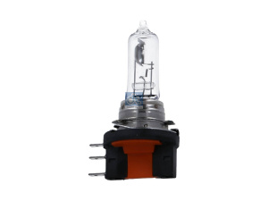 DT BULB 2