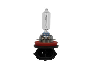 DT BULB 2