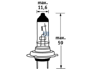 DT BULB 3