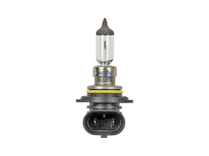 DT BULB 2