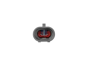 DT LICENSE PLATE LAMP 2