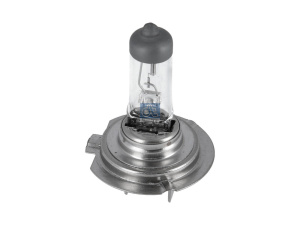 DT BULB 2