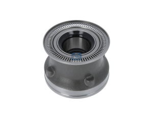 DT WHEEL BEARING UNIT 2