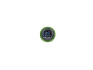 DT FEED MODULE 2
