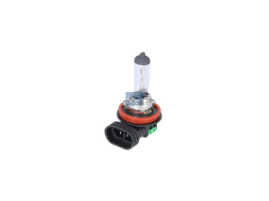 DT BULB 2