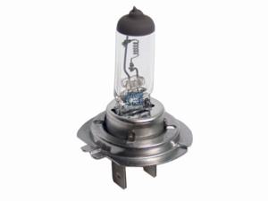 DT BULB 2