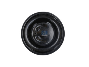 DT AIR SPRING 4