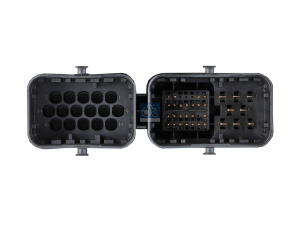 DT FEED MODULE 2