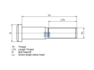 DT WHEEL BOLT, COMPLETE 2