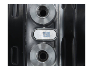 DT SPRING BRAKE CYLINDER 2