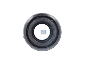 DT AIR SPRING 2