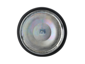 DT AIR SPRING 3