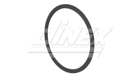DINEX TIIVISTERENGAS HIUKKASSUODATTIMELLE SCANIA EURO6