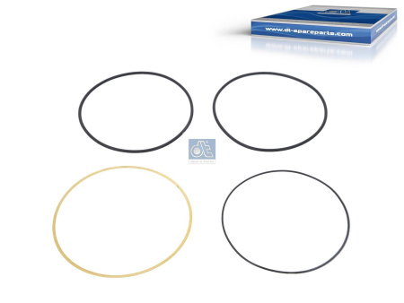 DT SEAL RING KIT