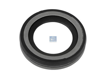 DT OIL SEAL