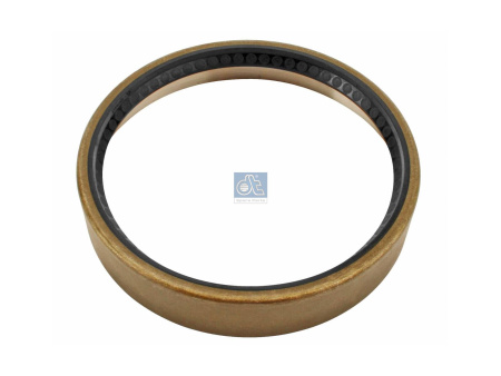 DT OIL SEAL