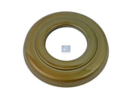 DT OIL SEAL