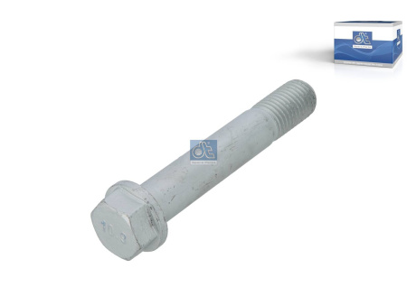 DT FLANGE SCREW