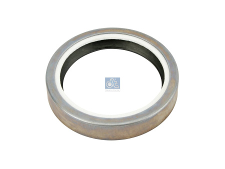 DT OIL SEAL