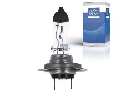 DT BULB