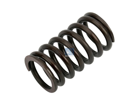 DT VALVE SPRING