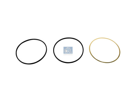 DT SEAL RING KIT