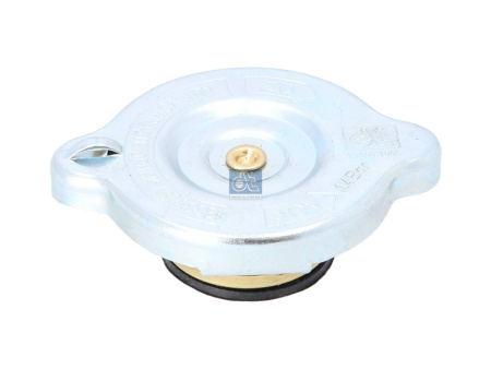 DT EXPANSION PLUG