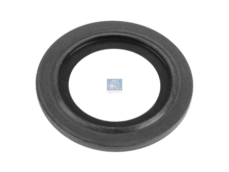 DT SEAL RING