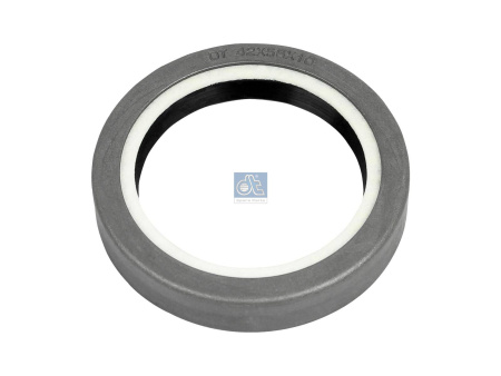 DT OIL SEAL