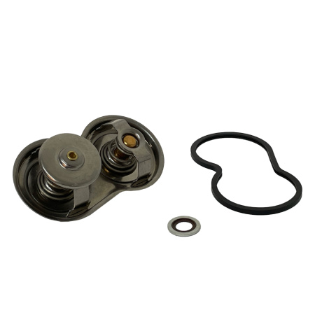 THERMOSTAT KIT