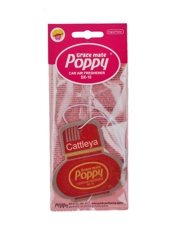 *CATTLEYA* GRACE MATE POPPY ILMANRAIKASTIN  T930421