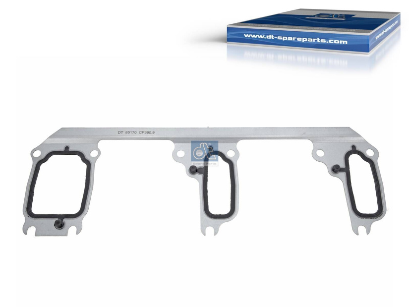 DT GASKET 4.20051