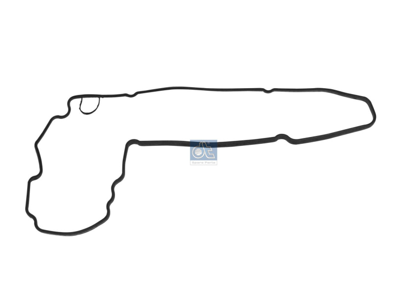 DT GASKET 4.20505