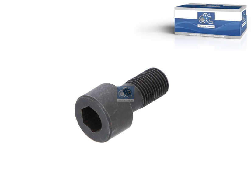 DT HOLLOW SCREW 1.10901
