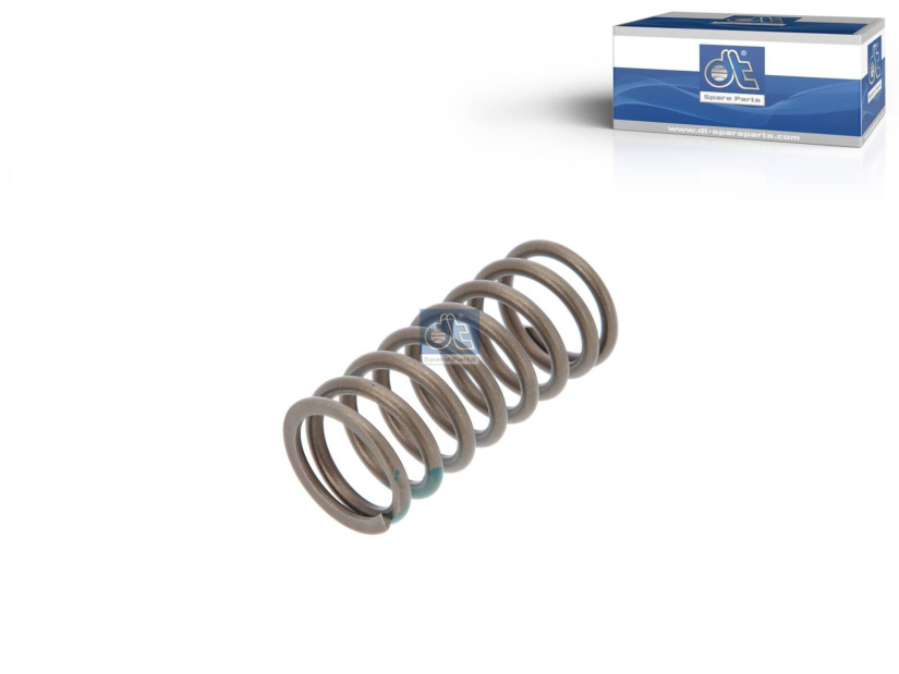 DT VALVE SPRING 3.13026