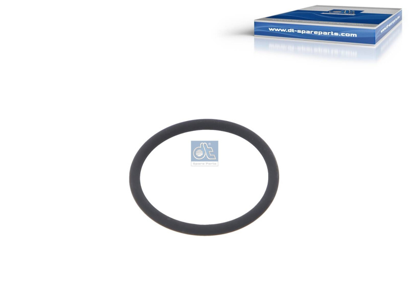 DT O-RING 10.13171