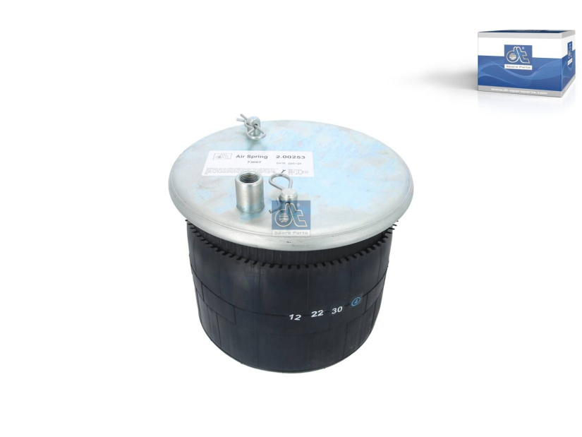 DT AIR SPRING 2.00253