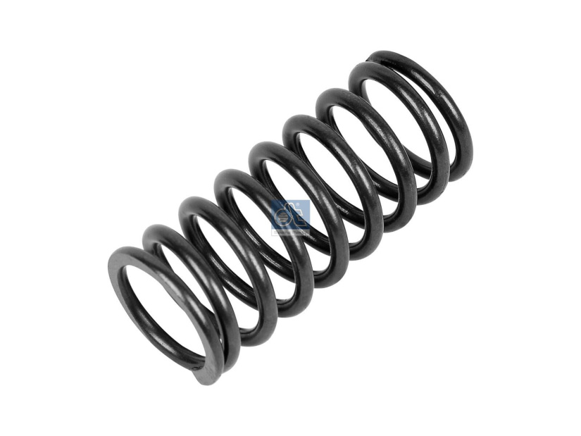 DT VALVE SPRING 3.13023