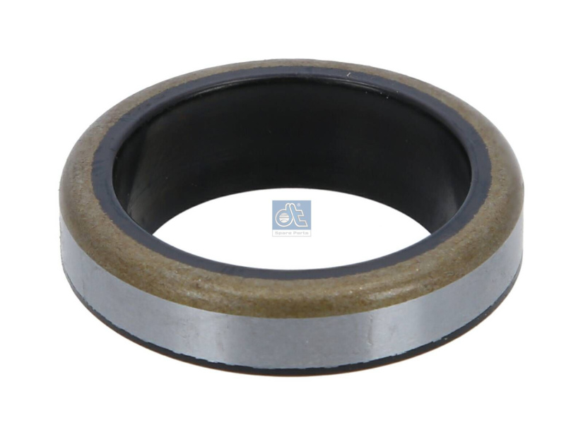 DT OIL SEAL 4.20176