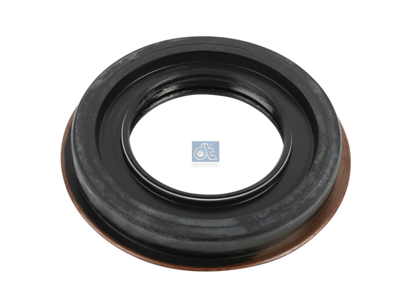 DT OIL SEAL 7.38231